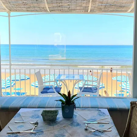 Aurora ספרלונגה