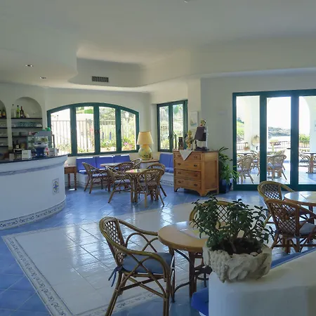 Aurora ספרלונגה