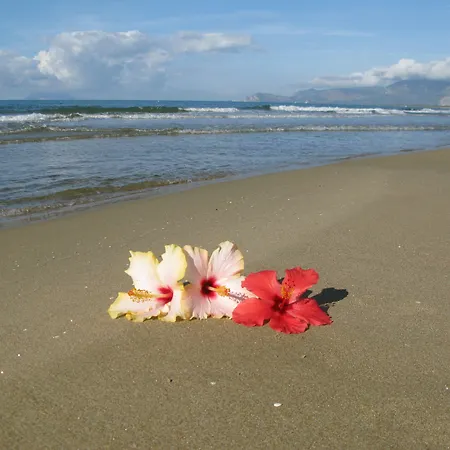 Aurora מלון ספרלונגה