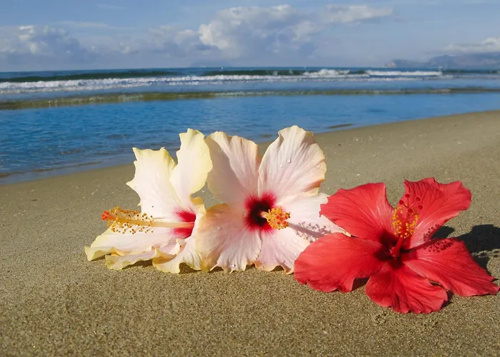 오로라 3* 스펠론가